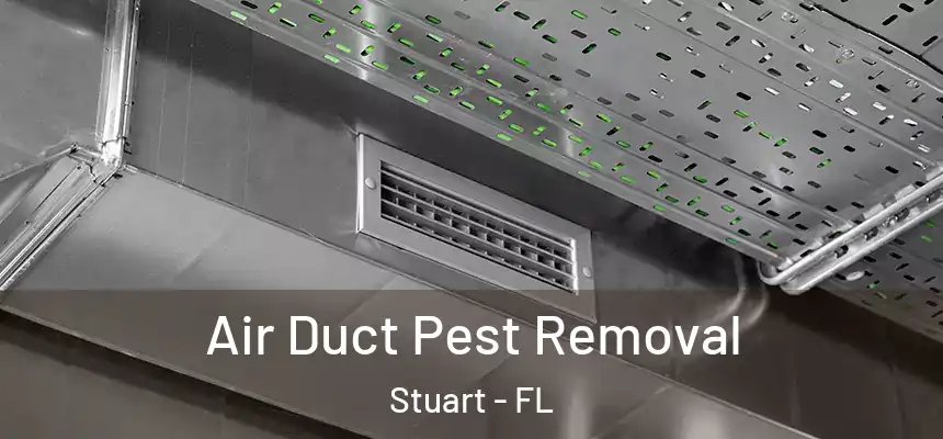 Air Duct Pest Removal Stuart - FL