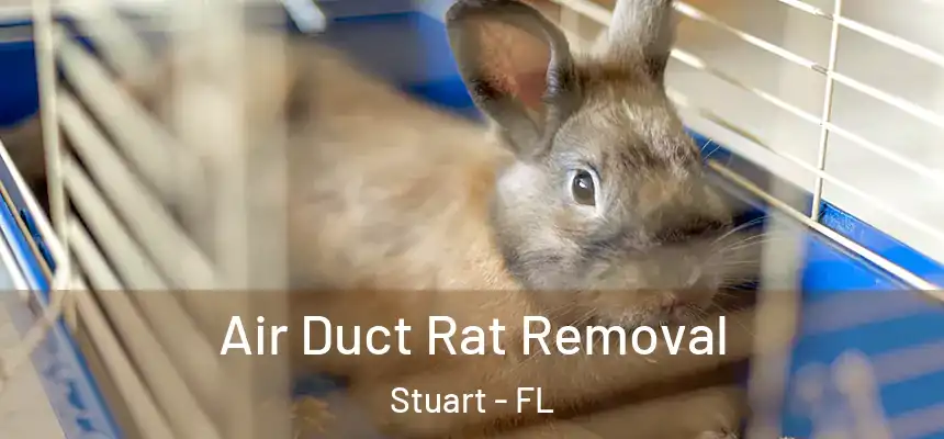 Air Duct Rat Removal Stuart - FL