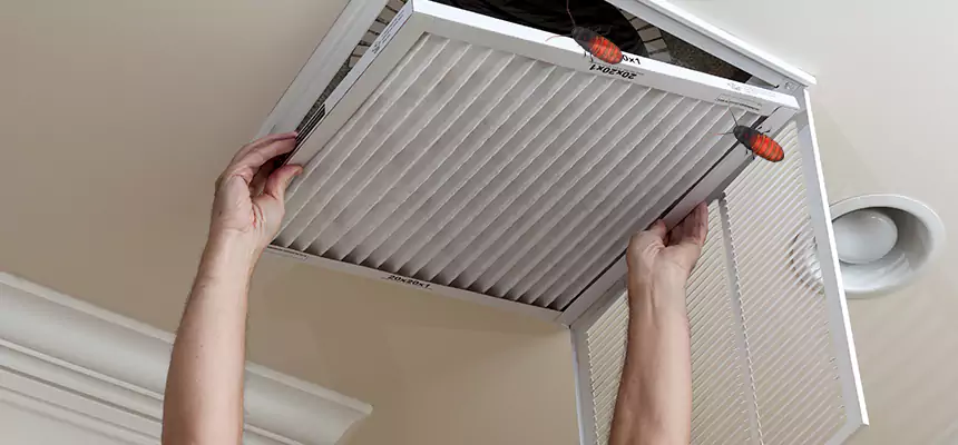 Preventive Cockroach-Proofing for Ducts in Stuart