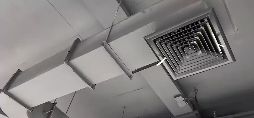 Restorative Allergy Relief Vent Cleaning – Coil, Blower & Housing Detail in Stuart