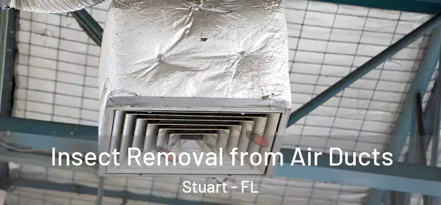 Insect Removal from Air Ducts Stuart - FL