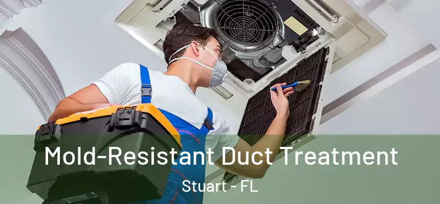 Mold-Resistant Duct Treatment Stuart - FL