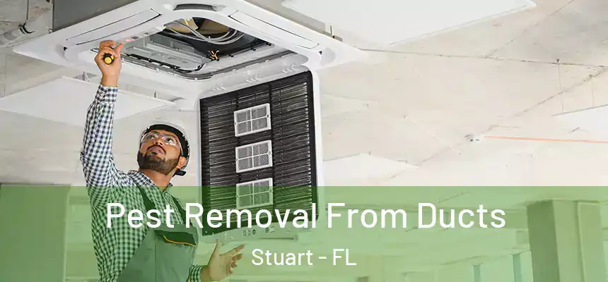 Pest Removal From Ducts Stuart - FL