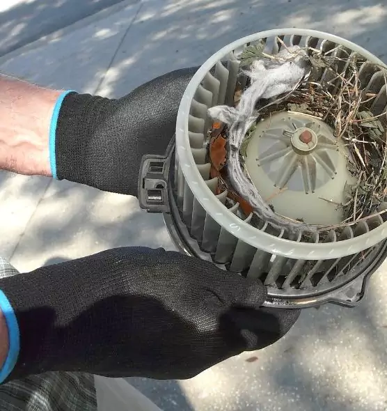 About Air Duct Mice Removal in Stuart, FL