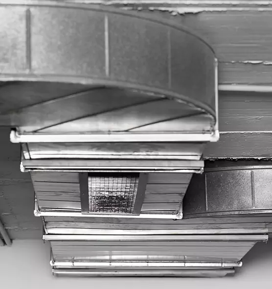 Professional Air Duct Pet Hair Removal in Stuart, FL