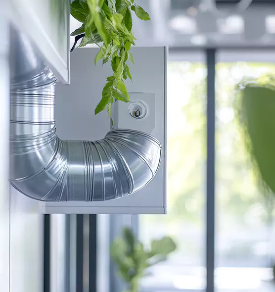 Professional Eco-Safe Dryer Vent Cleaning in Stuart, FL