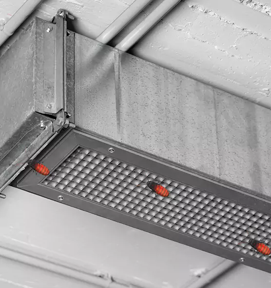Affordable Insect Removal from Air Ducts in Stuart, FL