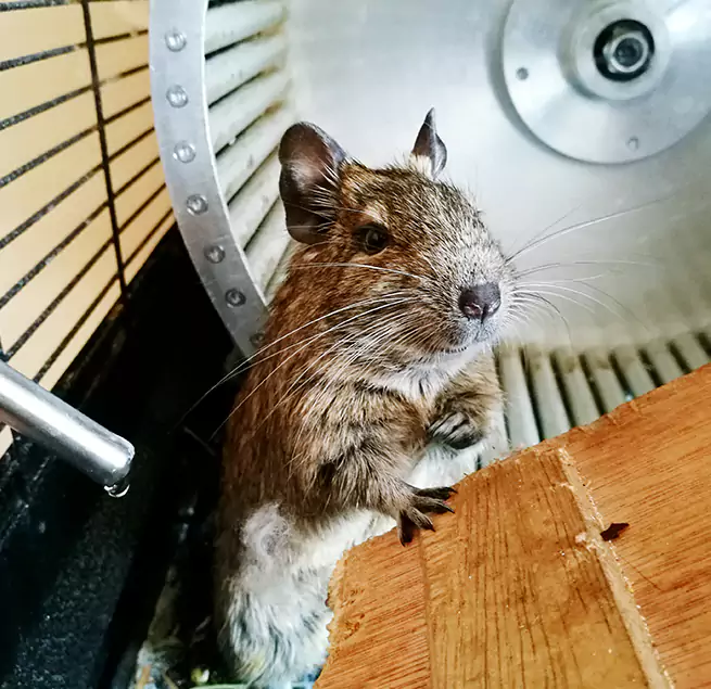 Why Homeowners & Businesses Trust Us Stuart, FL