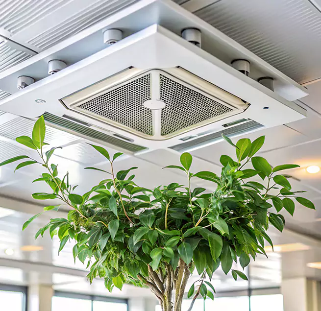 Why Homeowners & Businesses Trust Us in Stuart, FL?